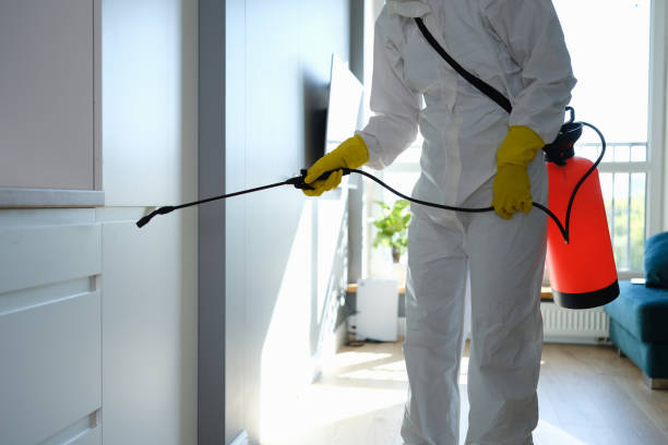Best Mold Remediation Services  in Monroe, WI