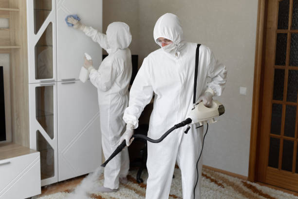 Best Residential Mold Removal  in Monroe, WI