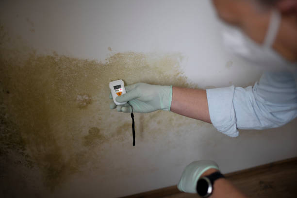 Best Mold Cleaning Services  in Monroe, WI