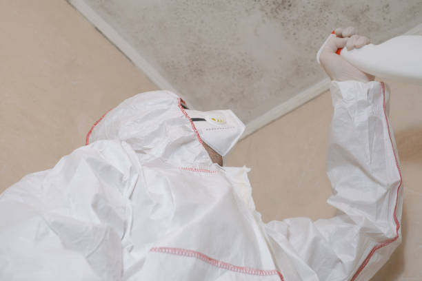 Best Commercial Mold Removal  in Monroe, WI