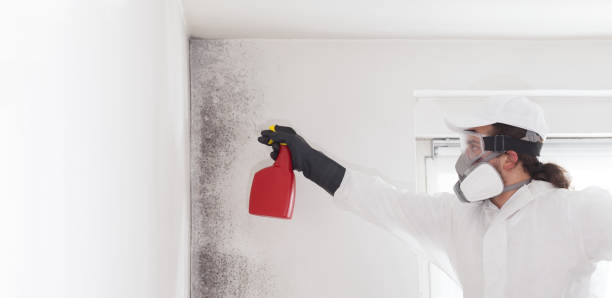 Water Damage Restoration in Monroe, WI