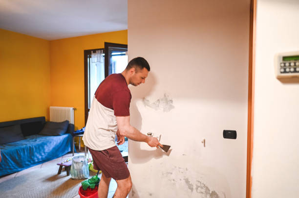 Best Home Mold Removal  in Monroe, WI
