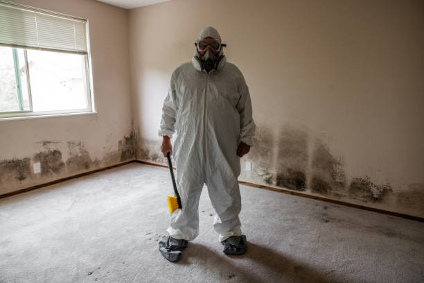 Best Residential Mold Removal  in Monroe, WI